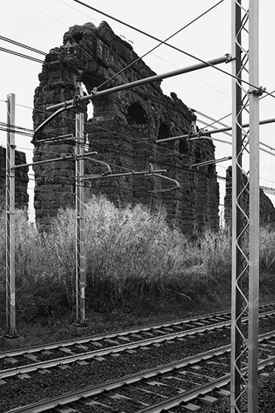 Home 6 <a href="https://brandogallo.com/progetto/la-via-liquida/">La Via Liquida</a>