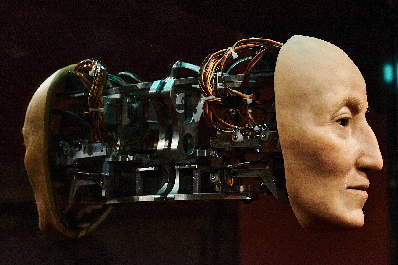 servizi fotografici professionali per artisti