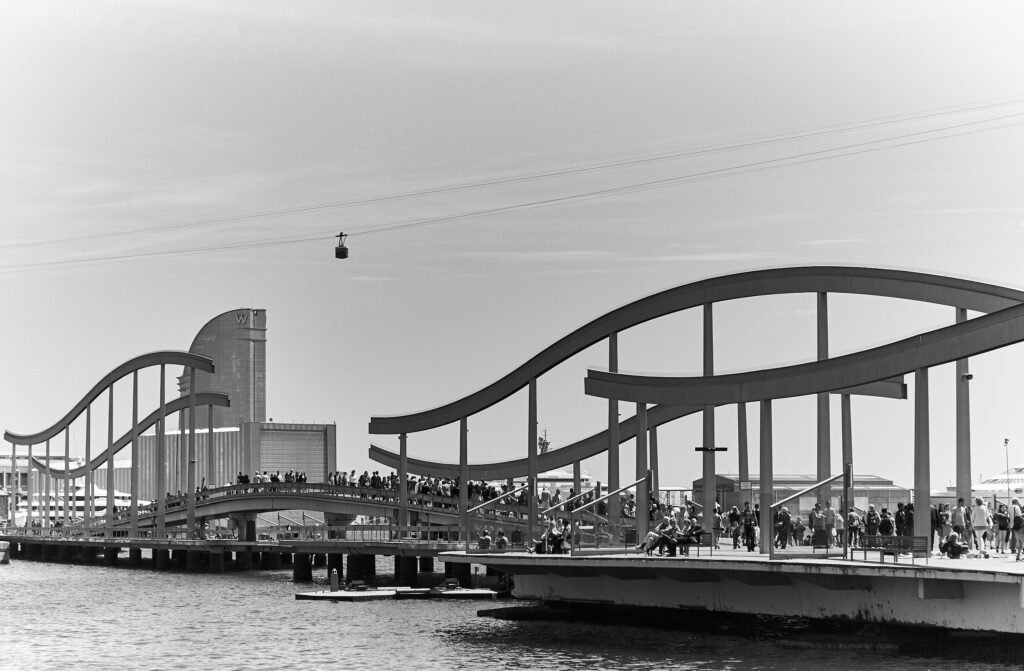 Schede 12